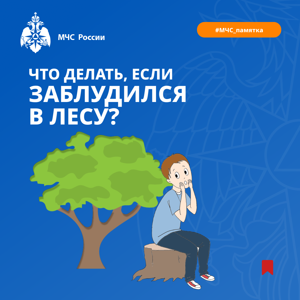 ИНФО 80