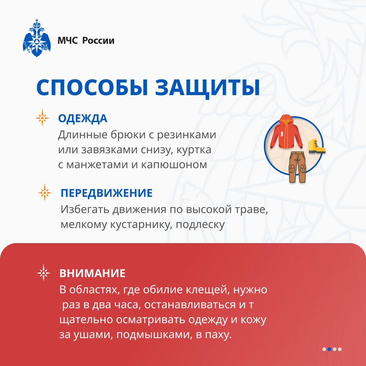 ИНФО 84