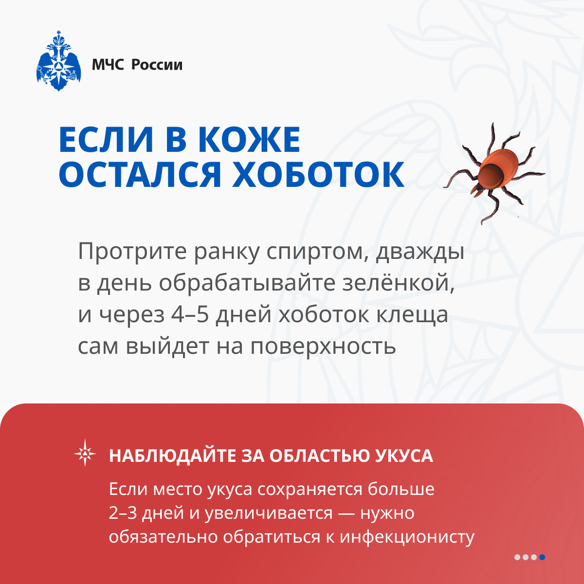 ИНФО 87