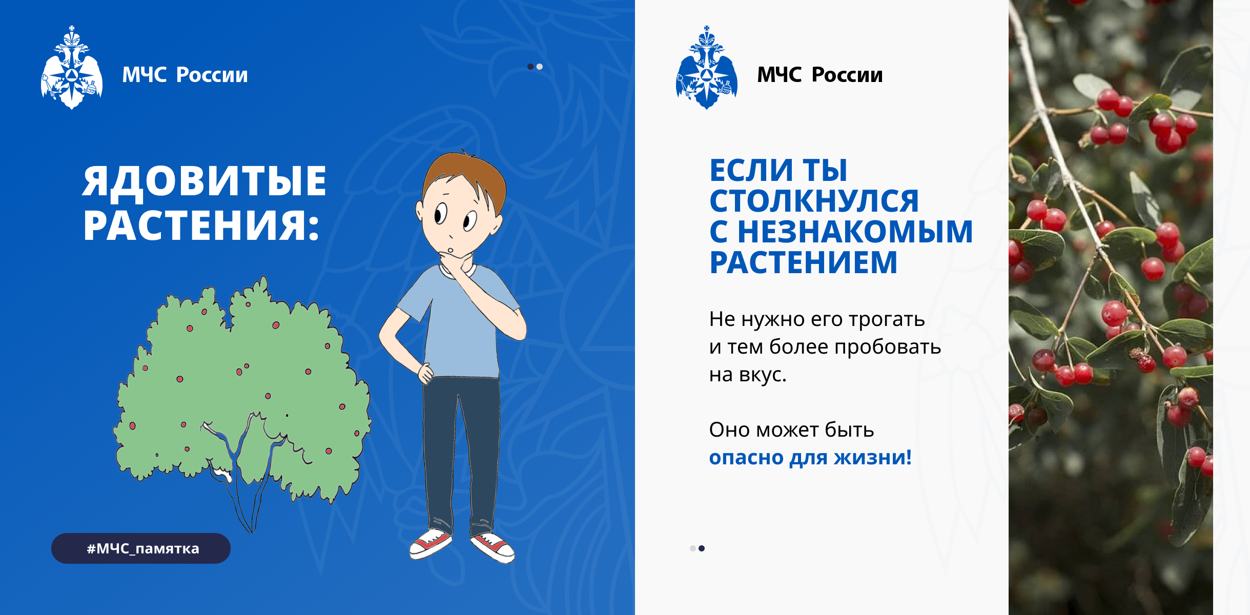 Ядовитые растения