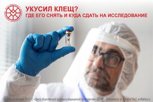 Укусил клещ